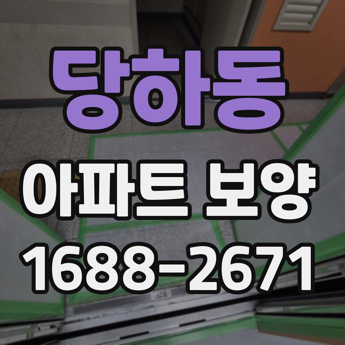 당하동 아파트 보양