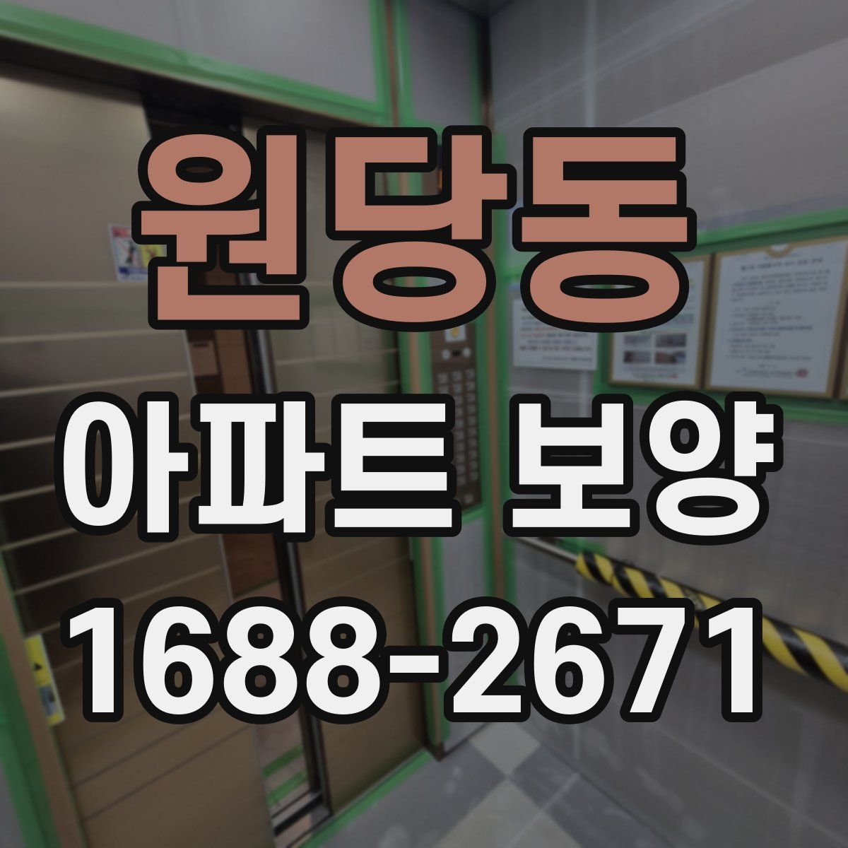 원당동 아파트 보양