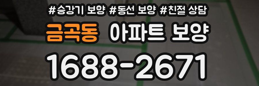 금곡동 아파트 보양