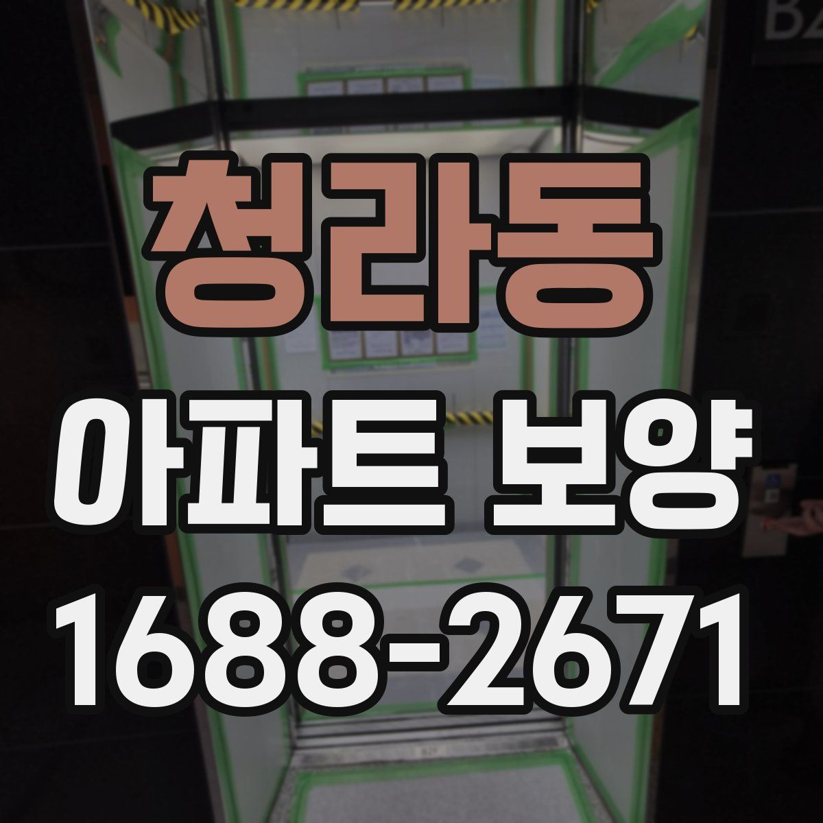 청라동 아파트 보양