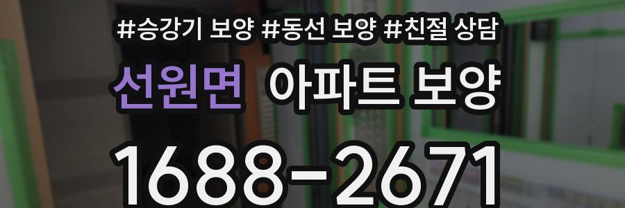 선원면 아파트 보양