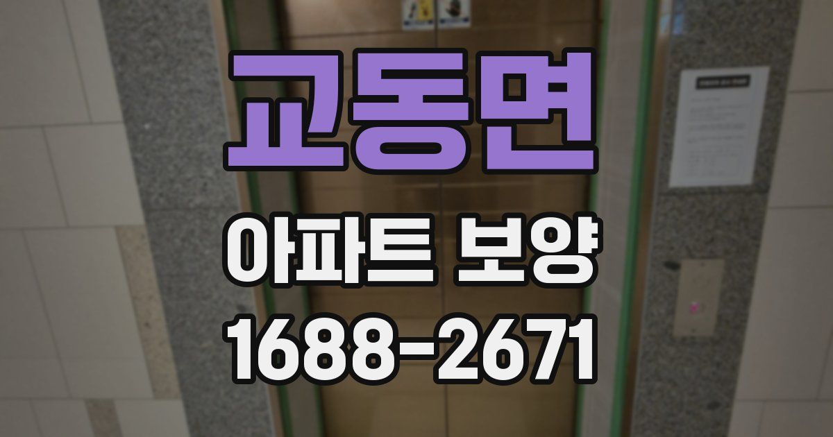 교동면 아파트 보양