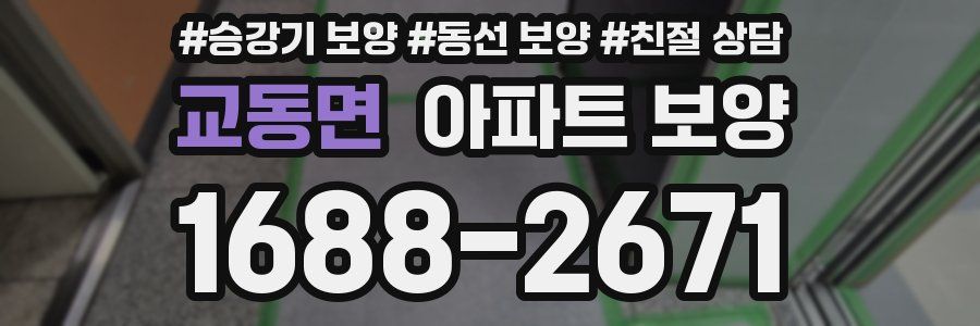 교동면 아파트 보양