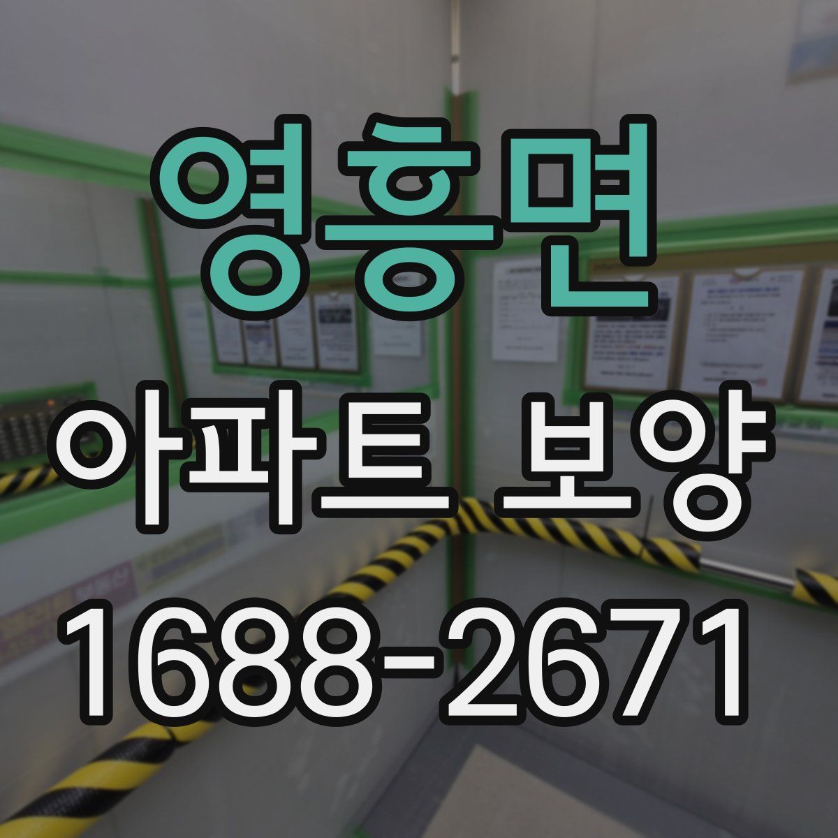 영흥면 아파트 보양