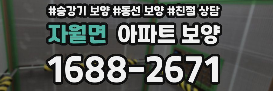 자월면 아파트 보양