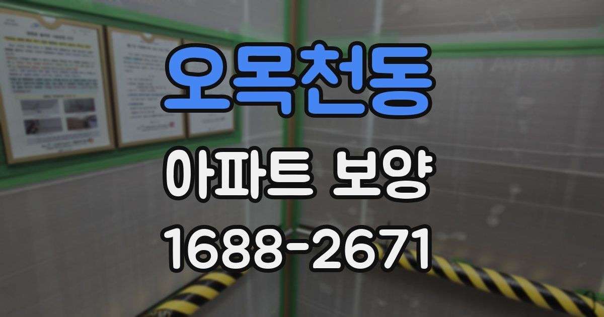 오목천동 아파트 보양