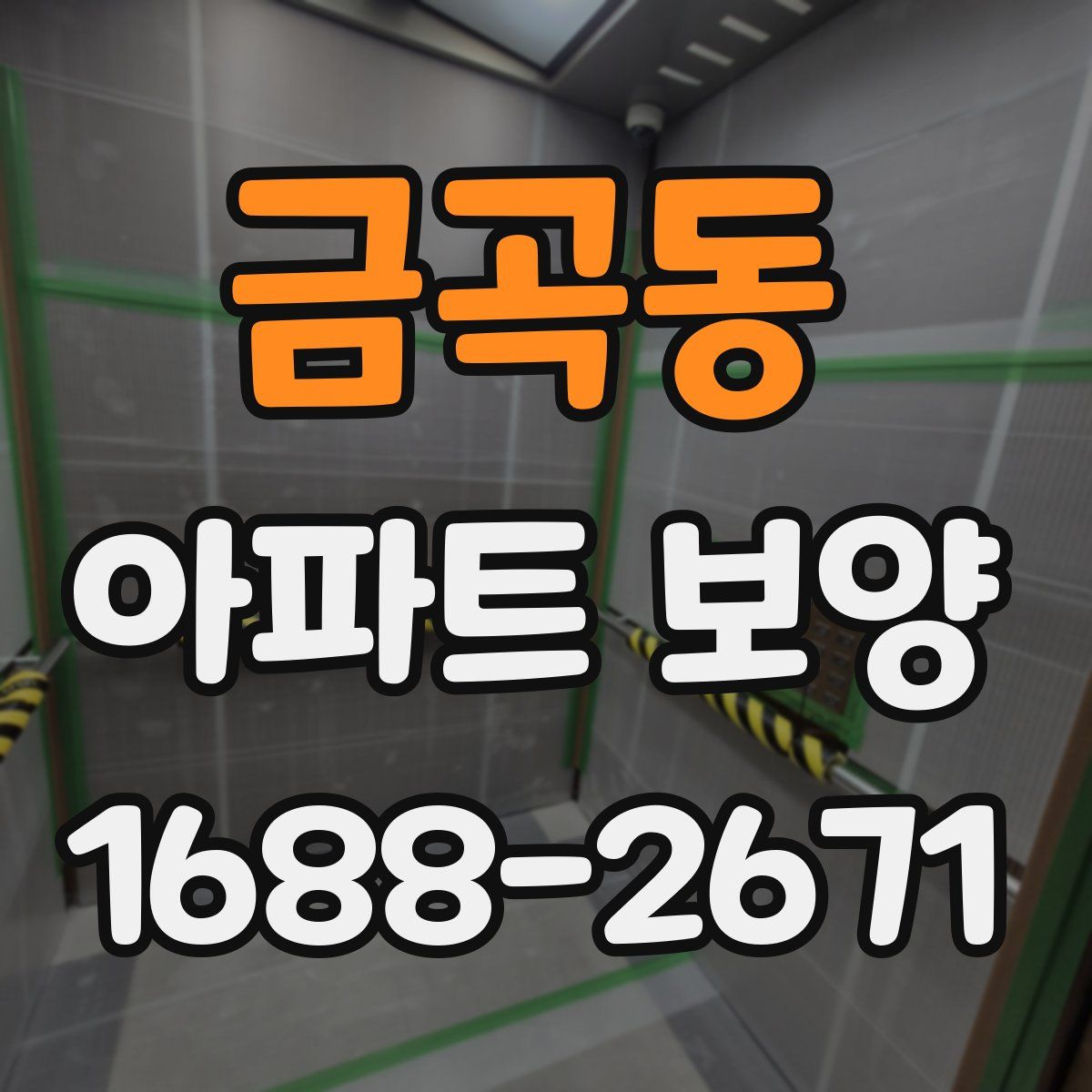 금곡동 아파트 보양