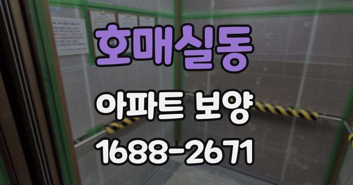 호매실동 아파트 보양