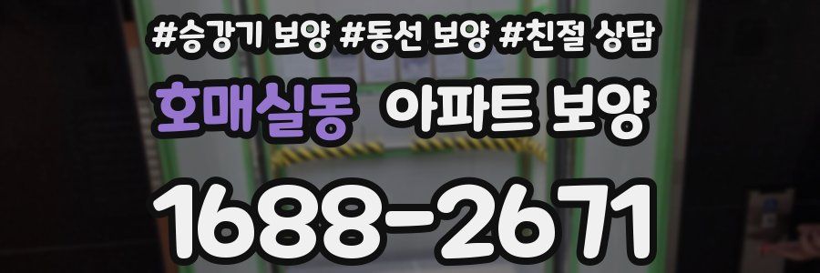 호매실동 아파트 보양