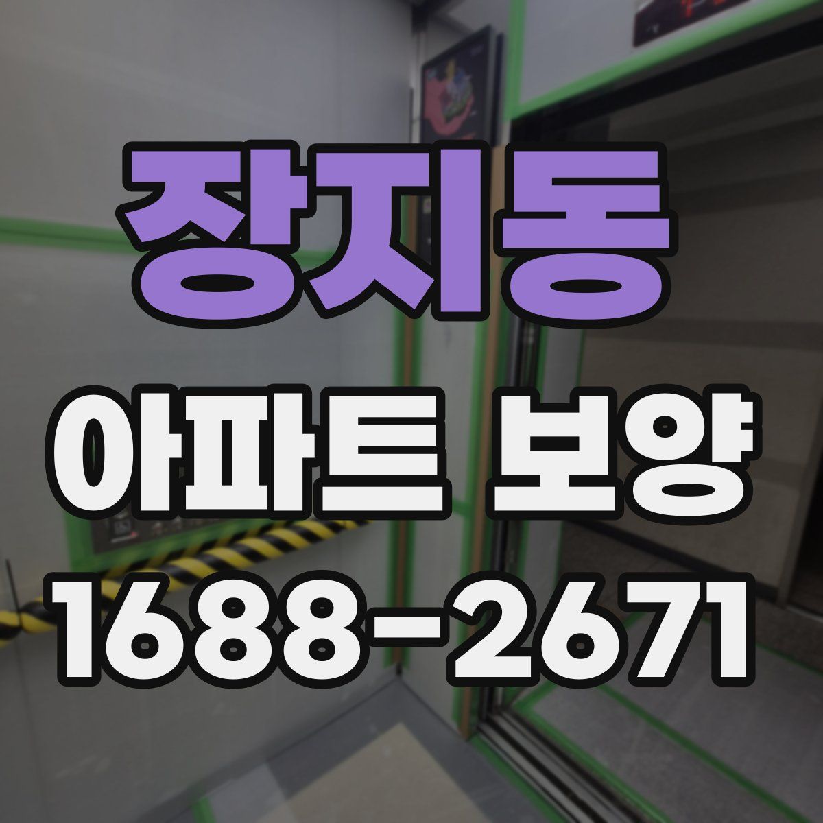 장지동 아파트 보양