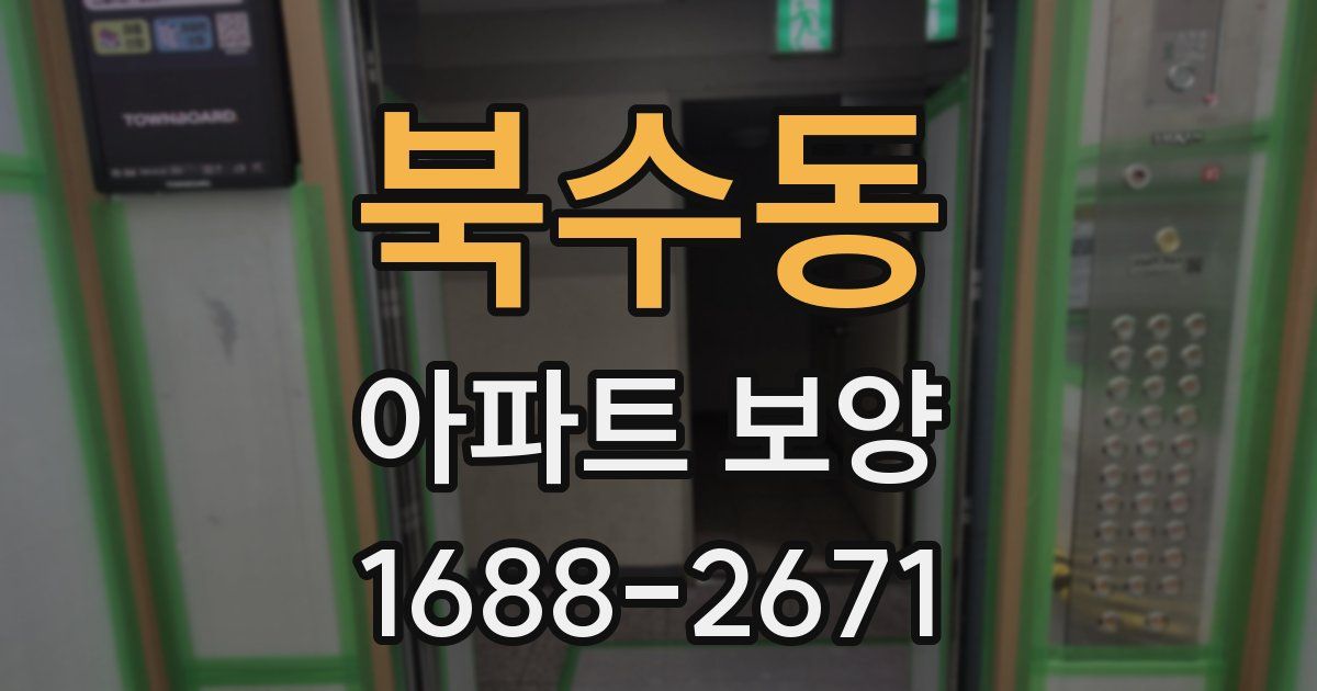 북수동 아파트 보양