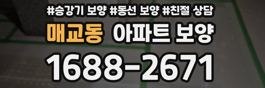 매교동 아파트 보양