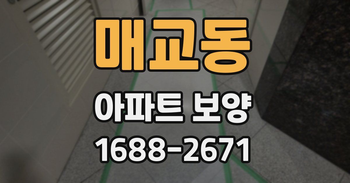 매교동 아파트 보양