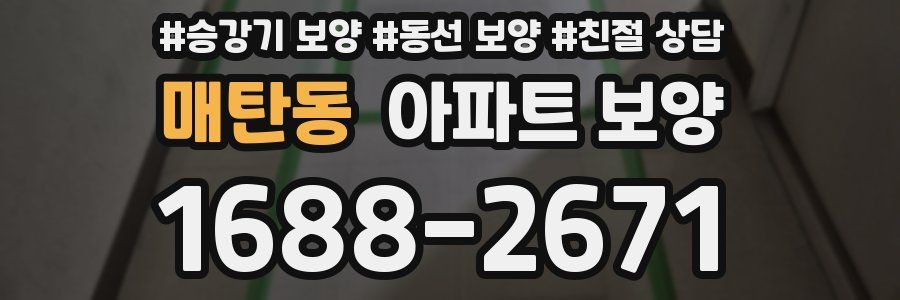 매탄동 아파트 보양