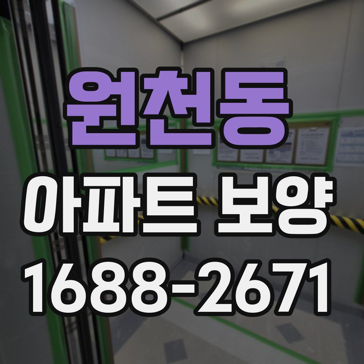 원천동 아파트 보양