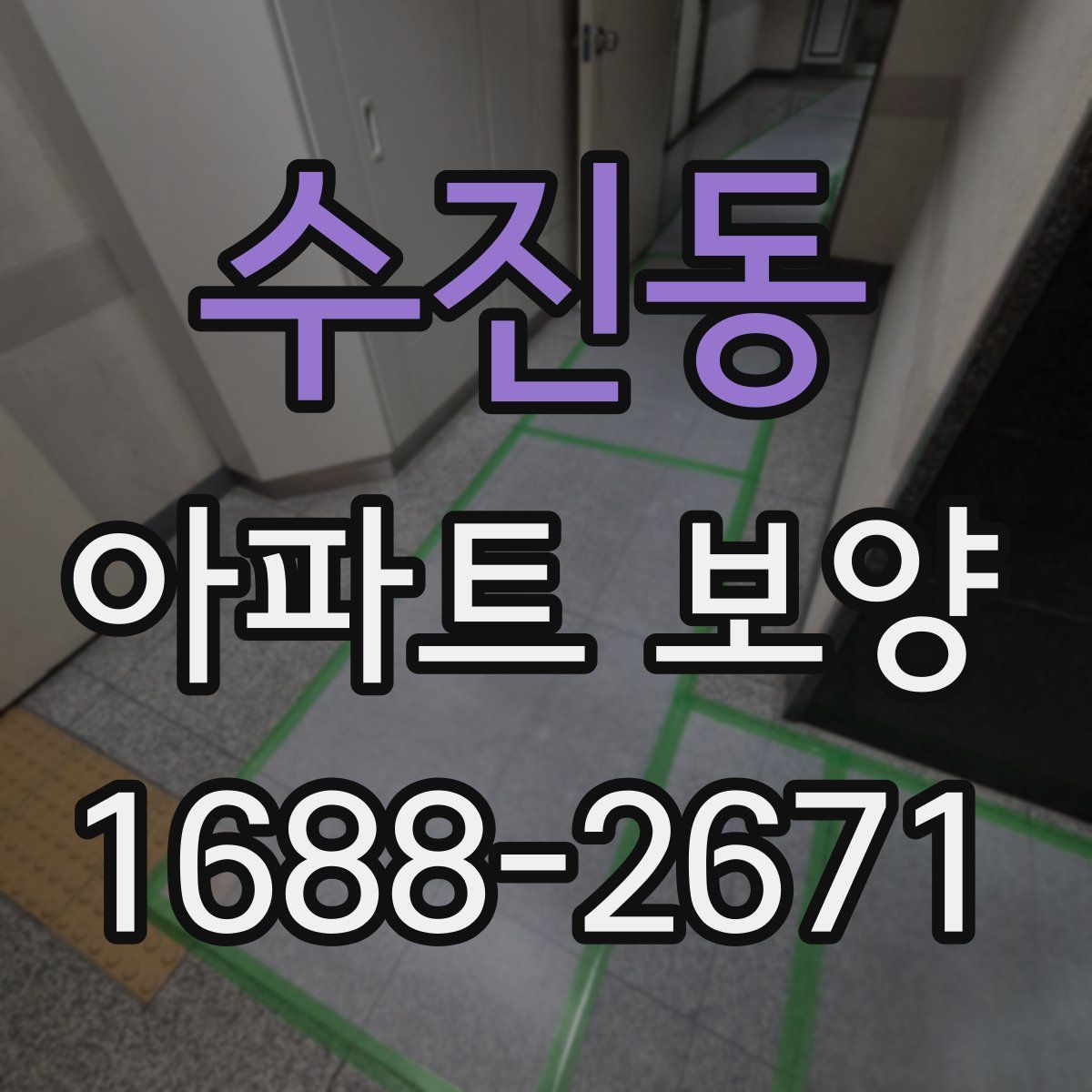 수진동 아파트 보양