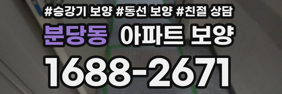분당동 아파트 보양