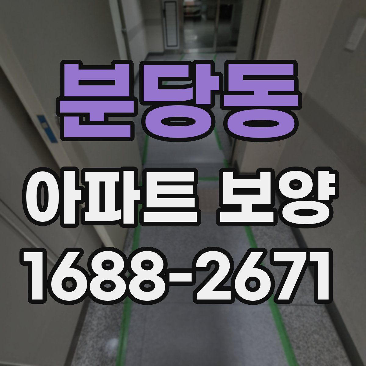 분당동 아파트 보양