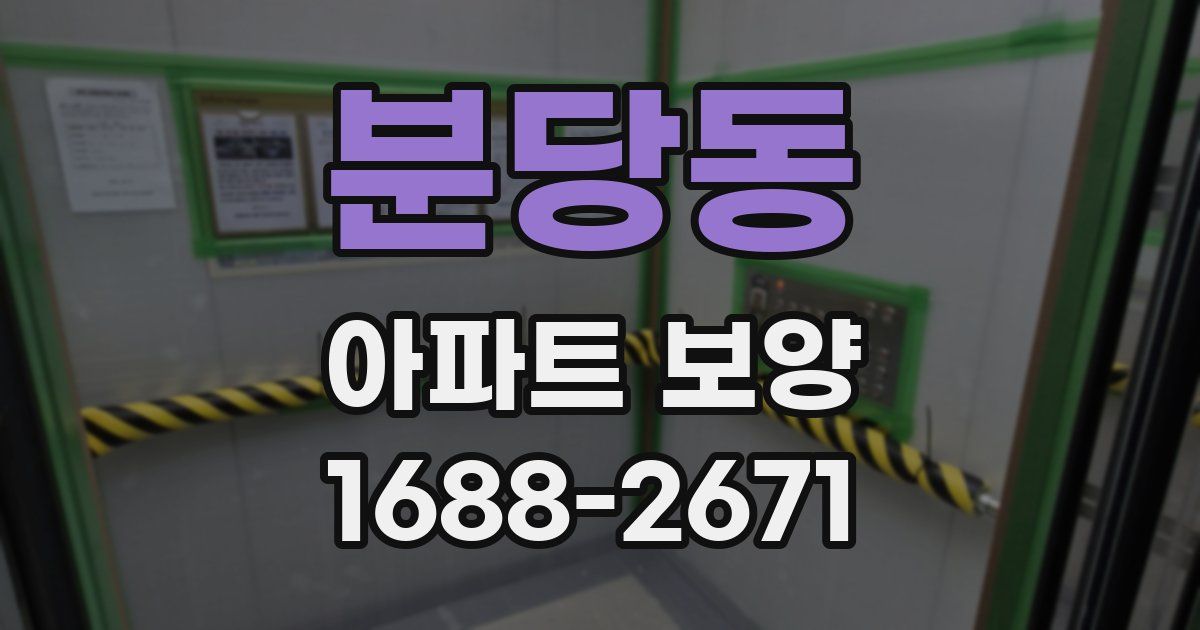 분당동 아파트 보양