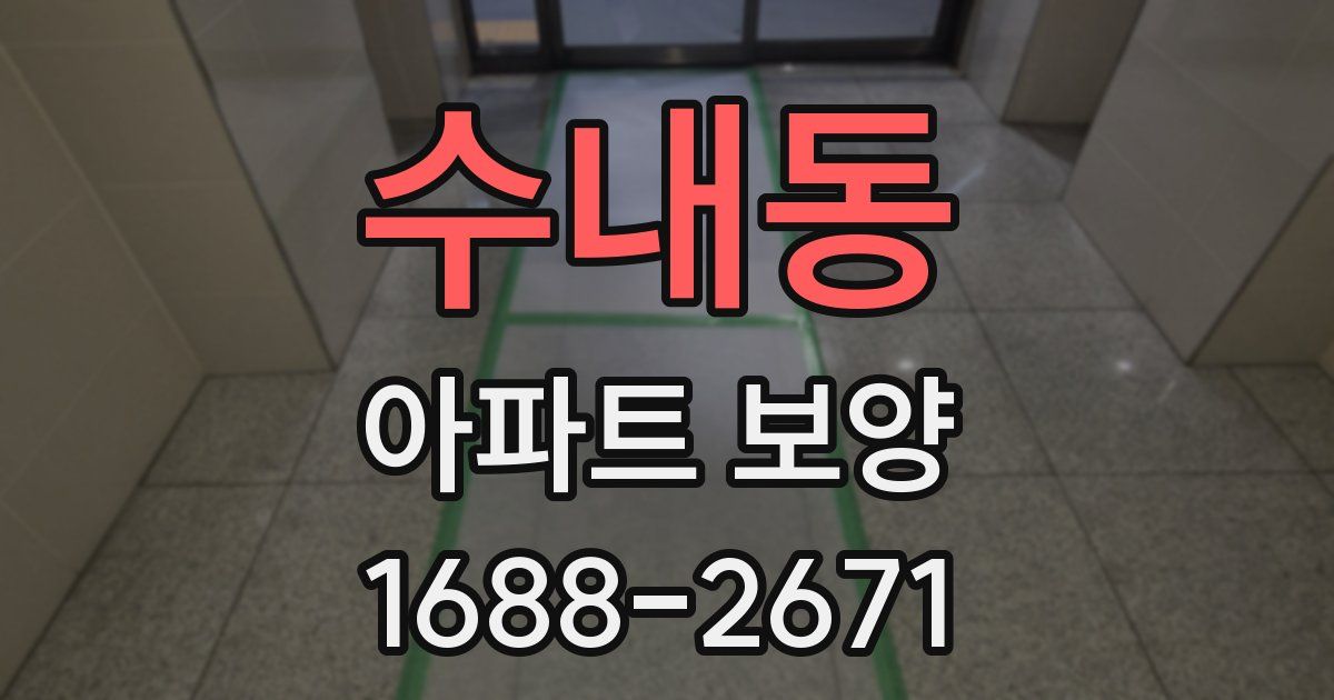 수내동 아파트 보양