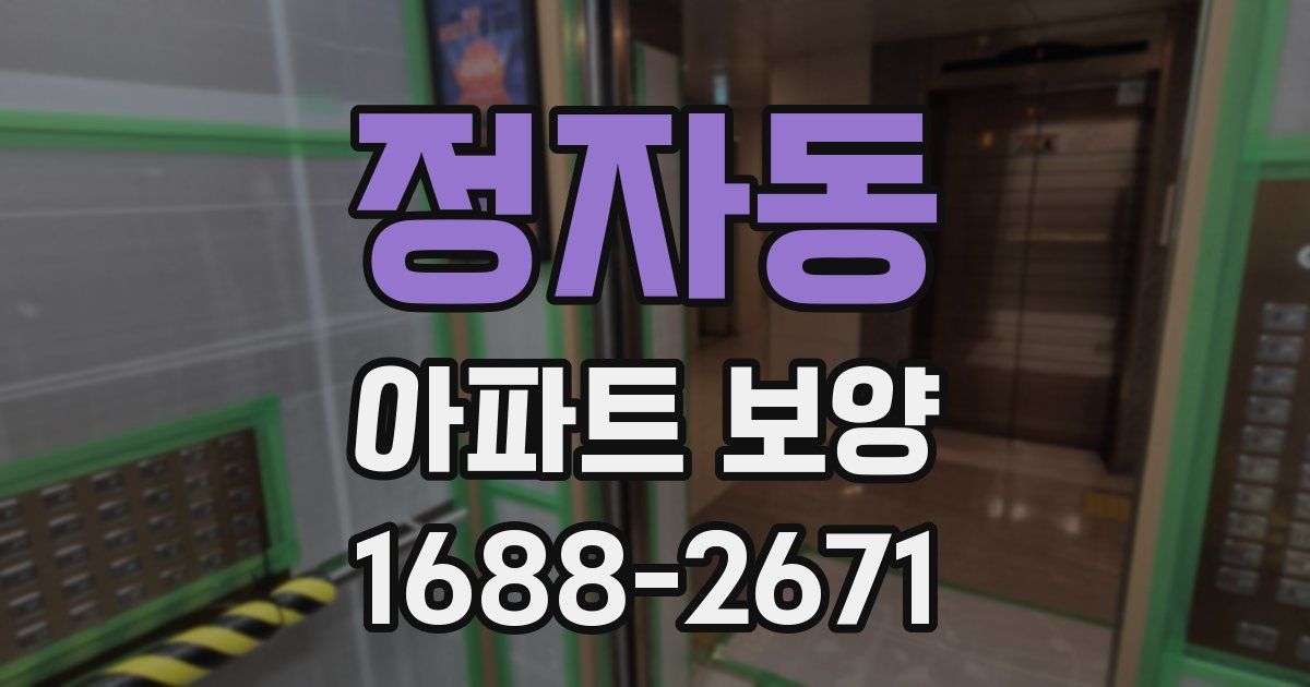 정자동 아파트 보양