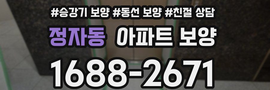 정자동 아파트 보양