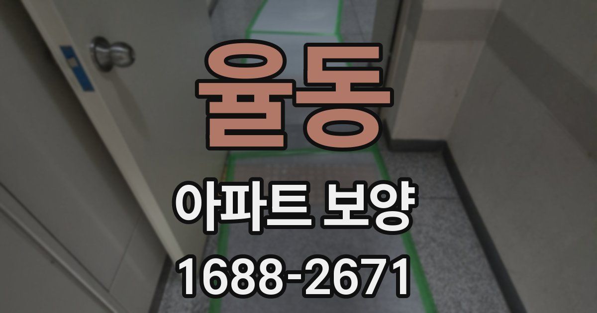 율동 아파트 보양