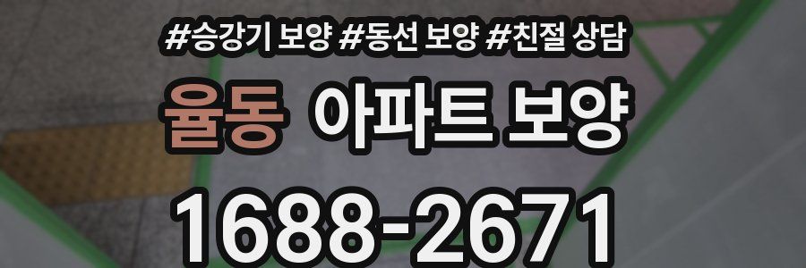 율동 아파트 보양