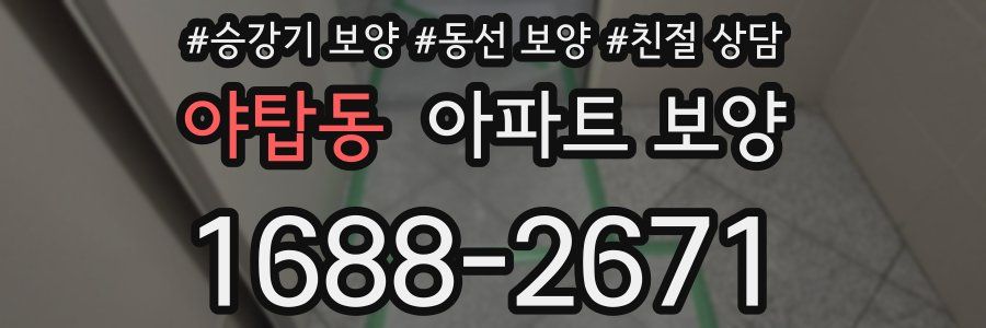 야탑동 아파트 보양