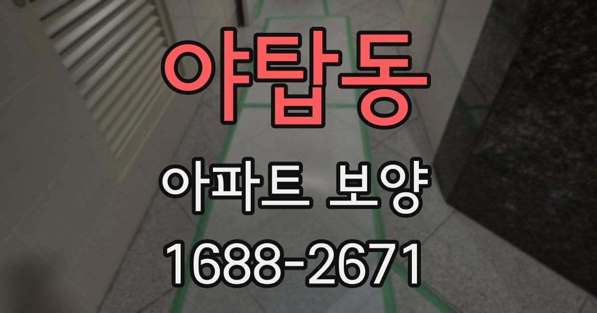 야탑동 아파트 보양