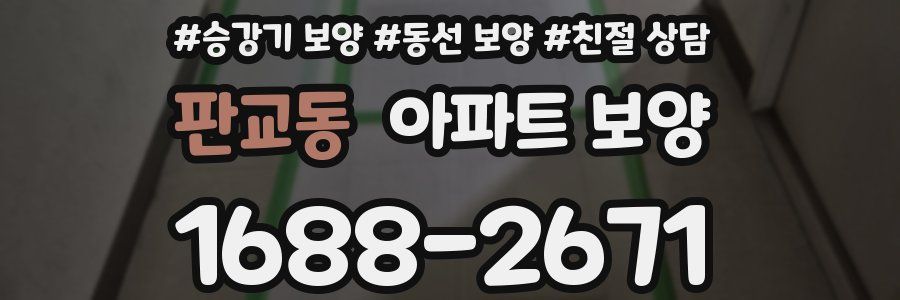 판교동 아파트 보양