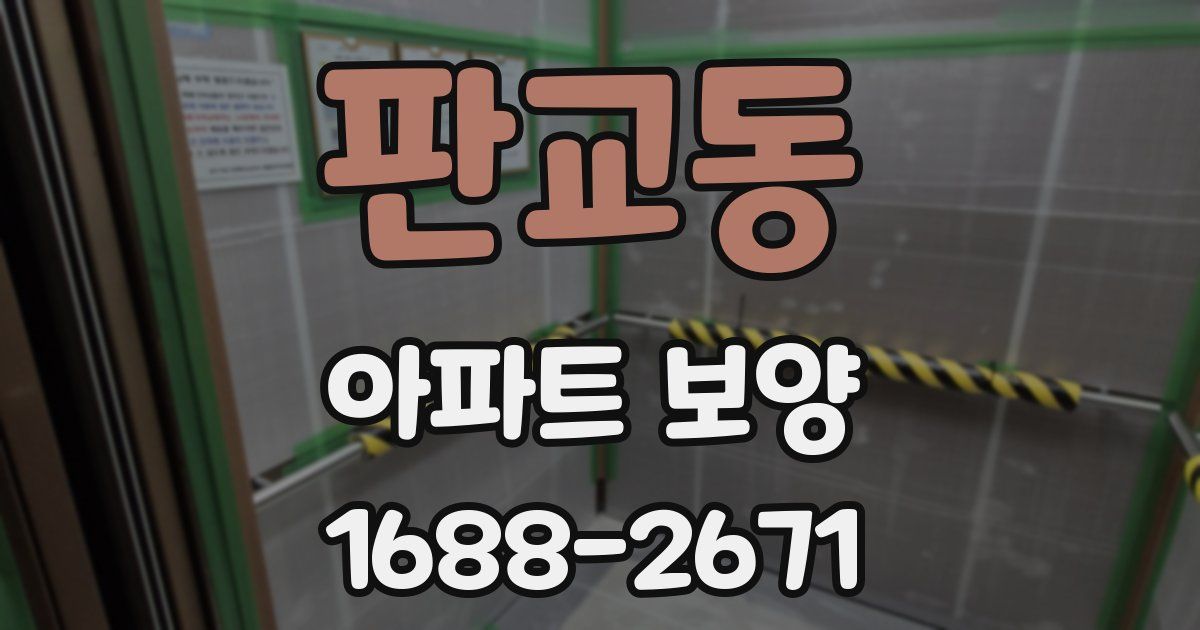 판교동 아파트 보양
