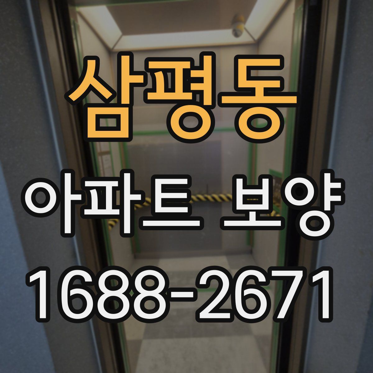 삼평동 아파트 보양