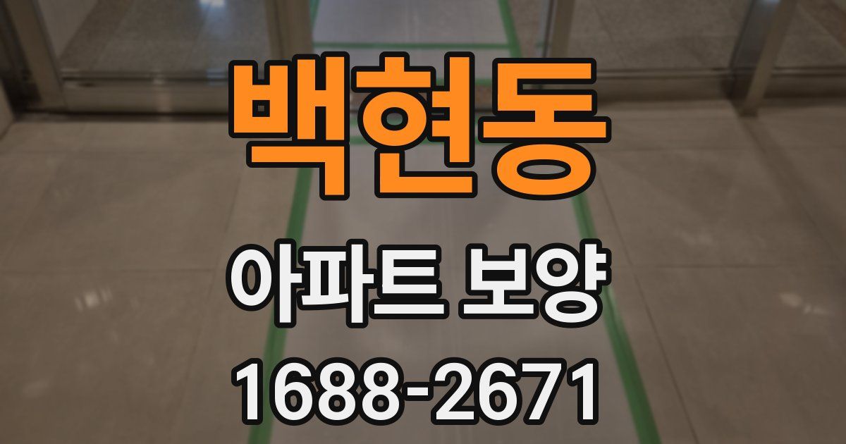 백현동 아파트 보양