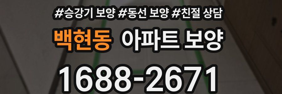 백현동 아파트 보양