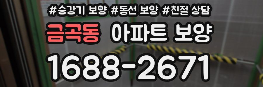 금곡동 아파트 보양