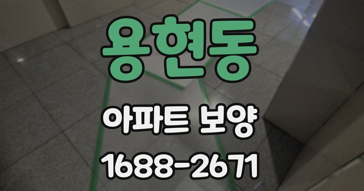 용현동 아파트 보양