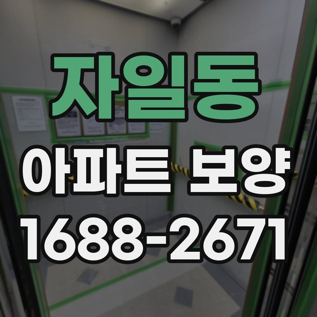 자일동 아파트 보양 전후 비교로 보는 변화 포인트