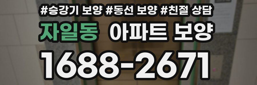 자일동 아파트 보양