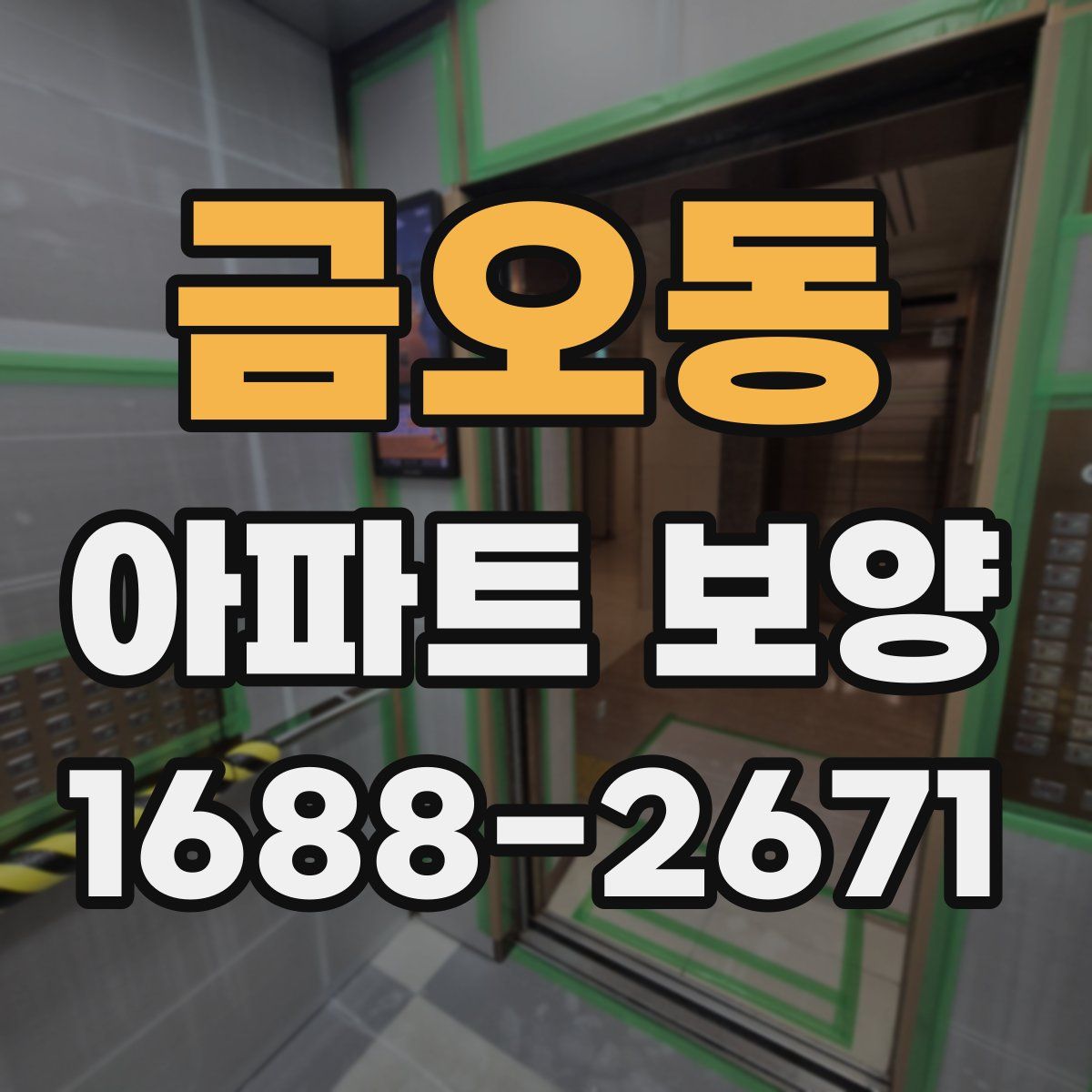 금오동 아파트 보양