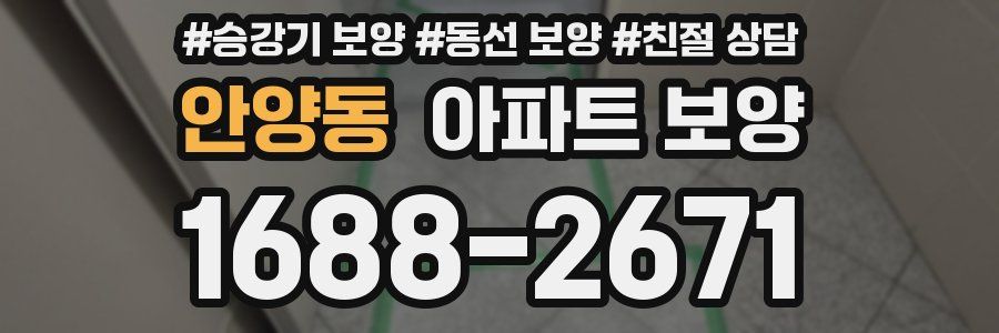안양동 아파트 보양