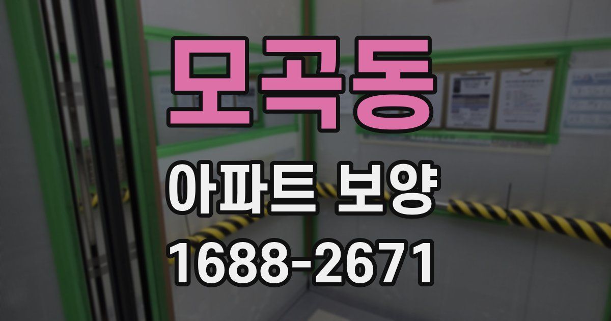 모곡동 아파트 보양