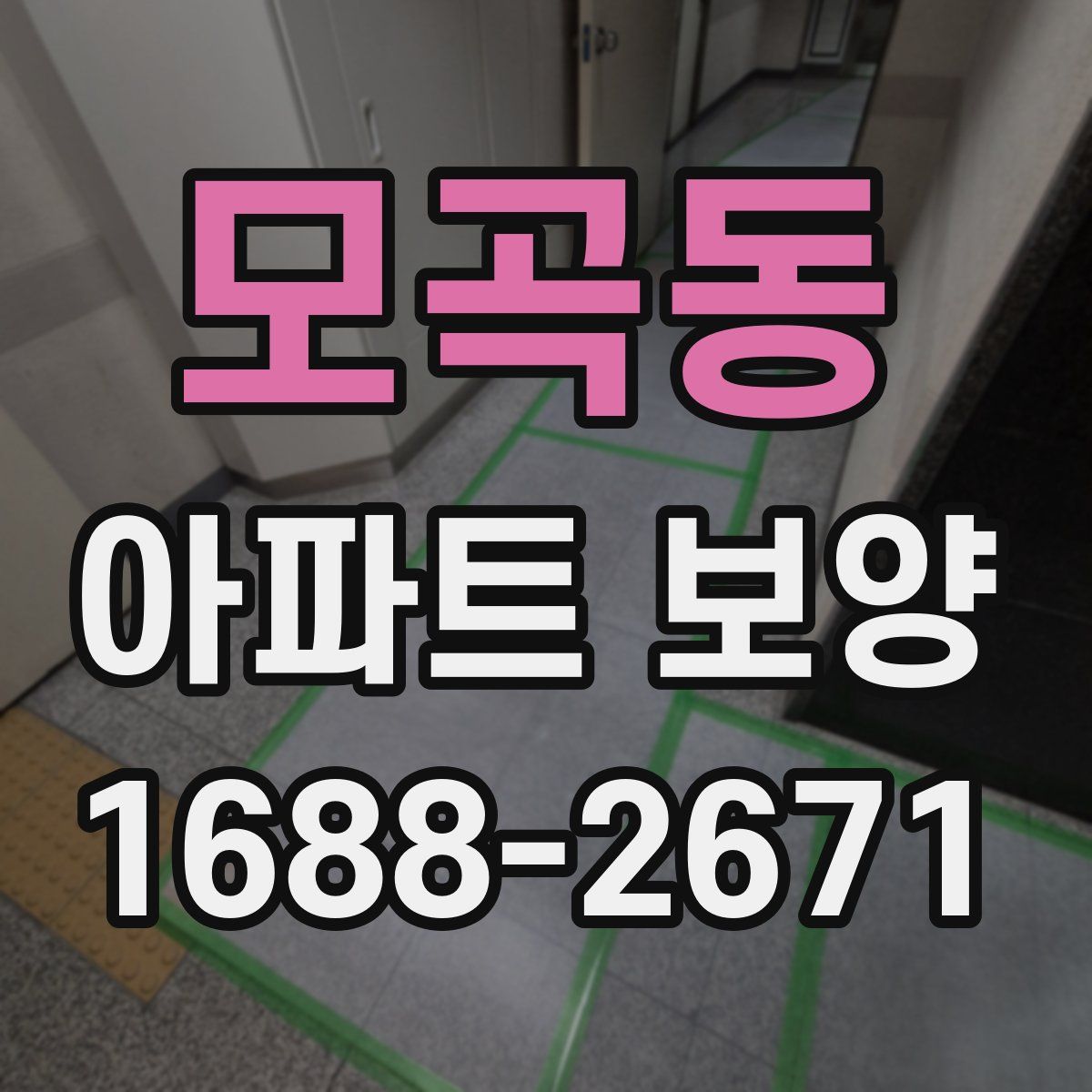 모곡동 아파트 보양