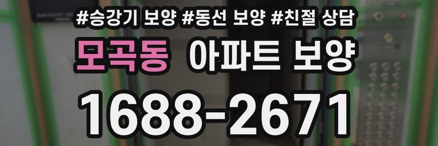 모곡동 아파트 보양