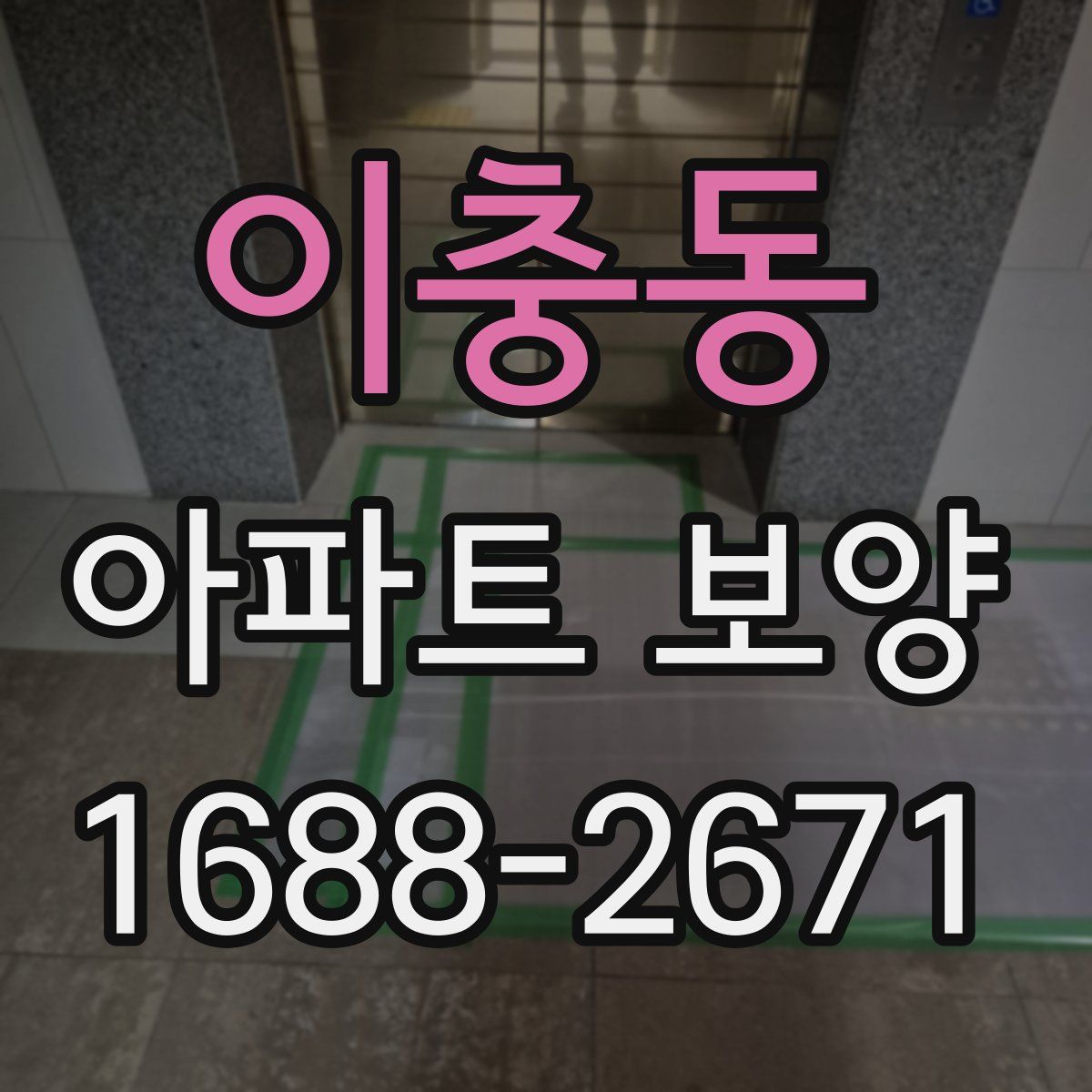 이충동 아파트 보양