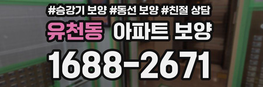 유천동 아파트 보양