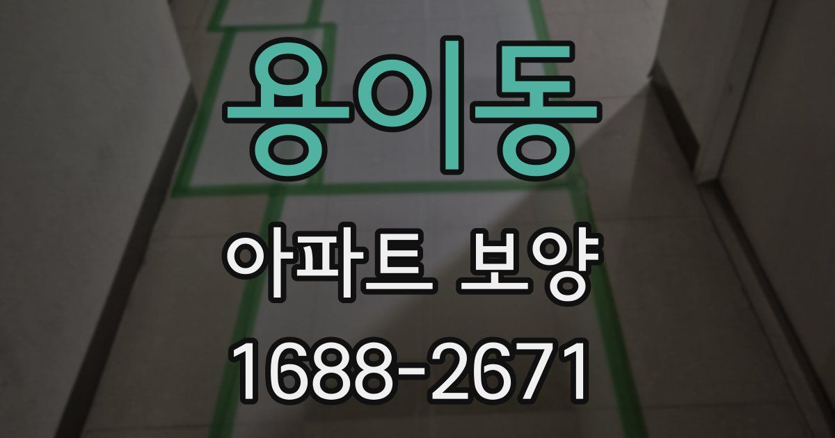 용이동 아파트 보양