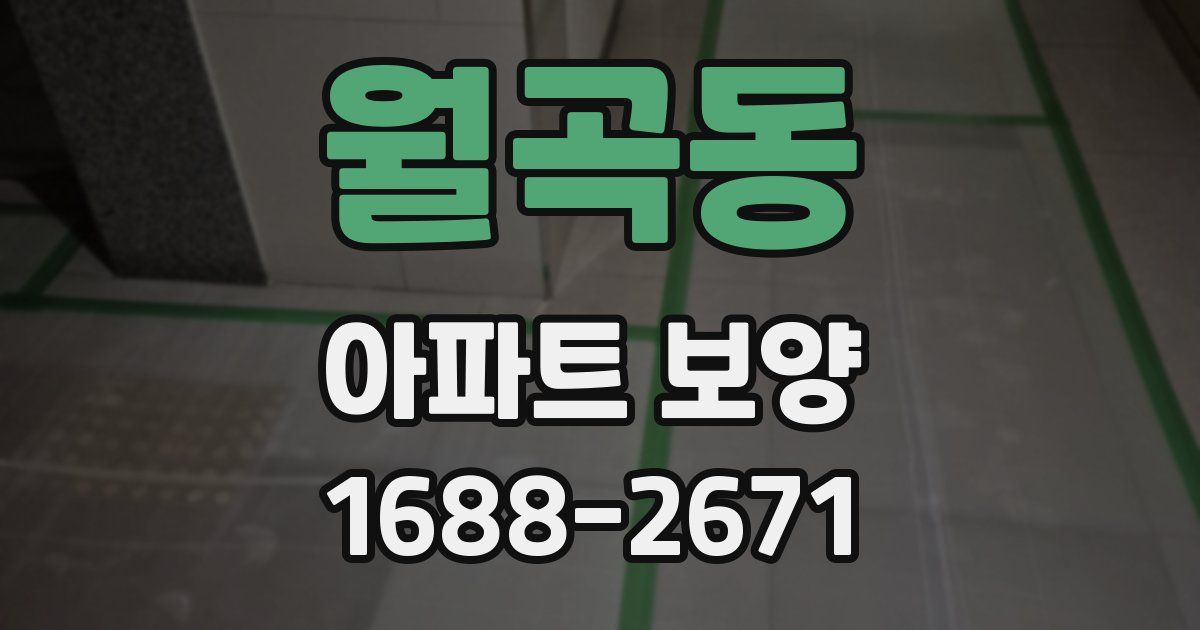 월곡동 아파트 보양