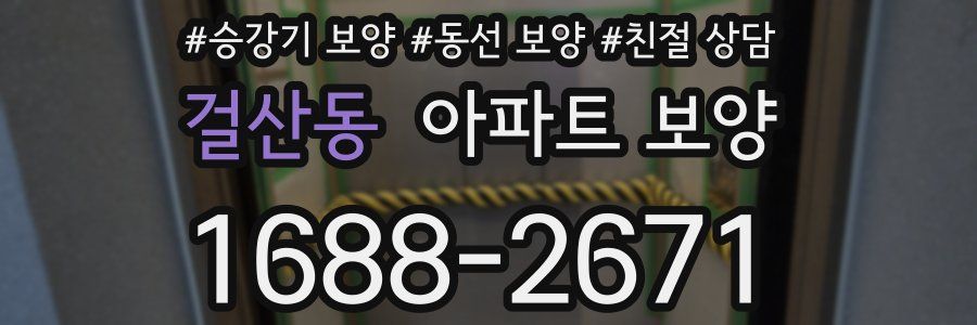 걸산동 아파트 보양