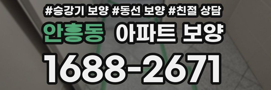 안흥동 아파트 보양